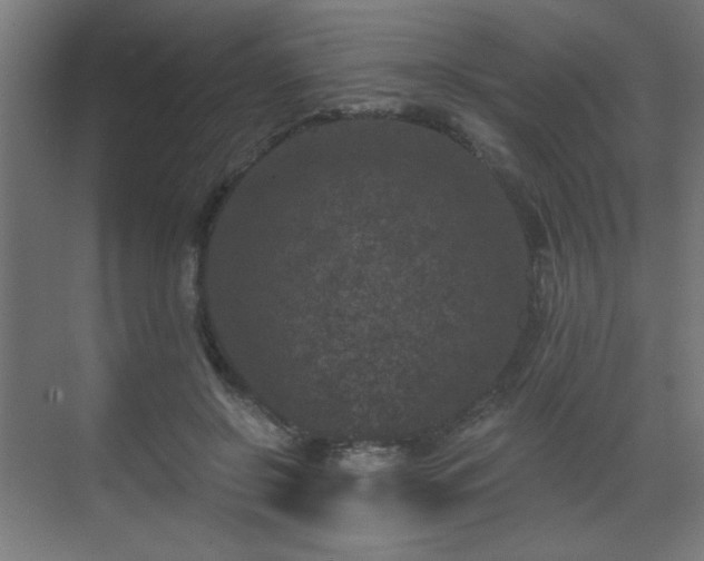 X0000071340550200606261318