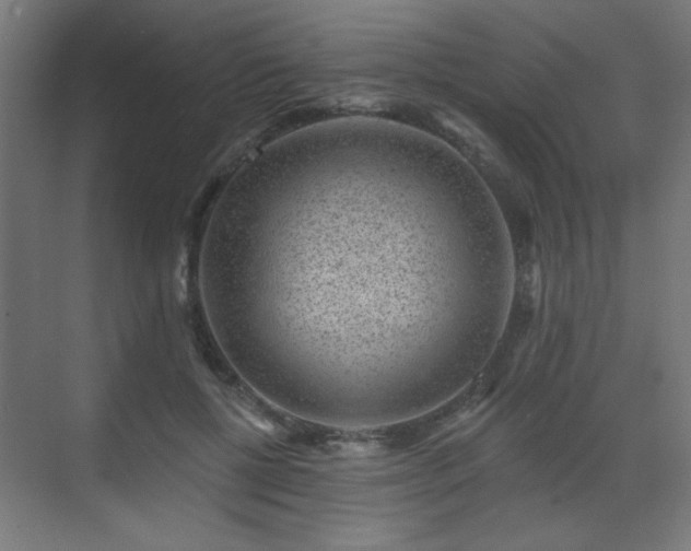 X0000071340552200606261318