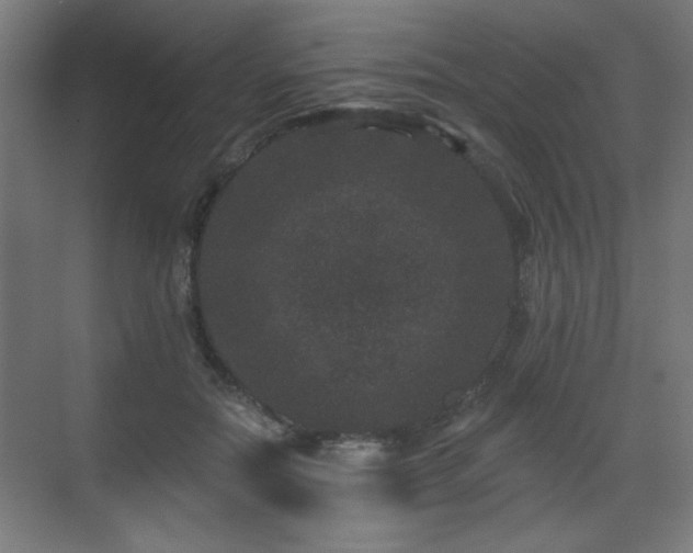 X0000071340554200606261318