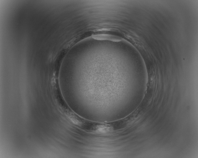 X0000071340555200606261318