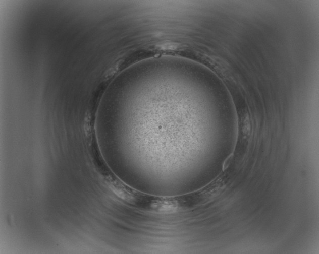 X0000071340559200606261318