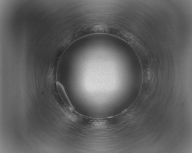 X0000071340560200606261318