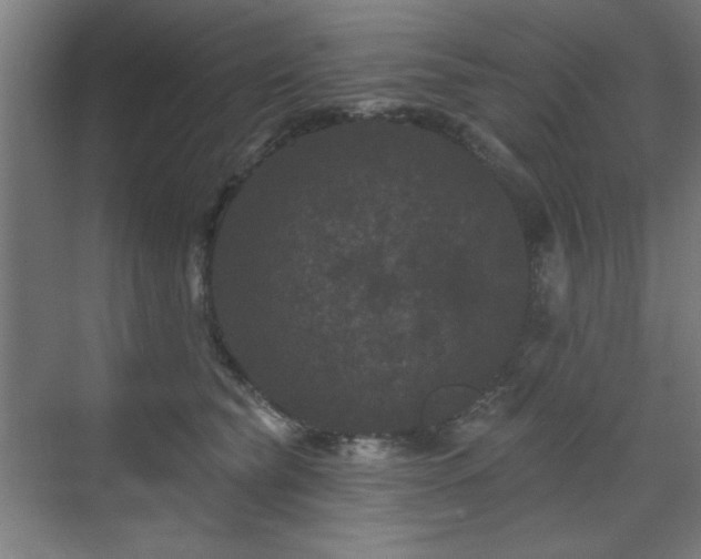 X0000071340565200606261318