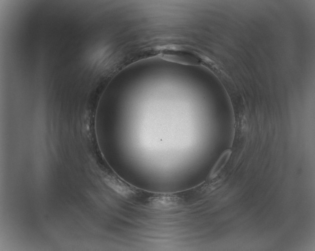 X0000071340567200606261319