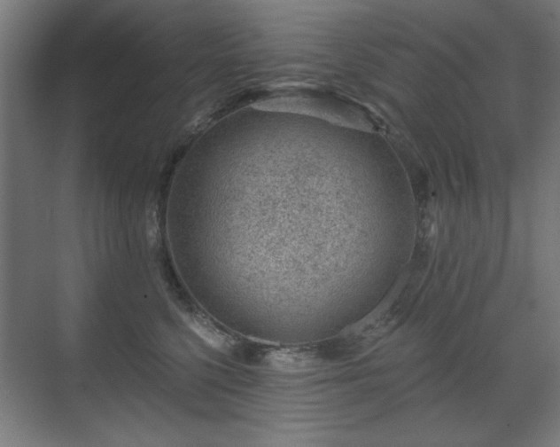 X0000071340568200606261319