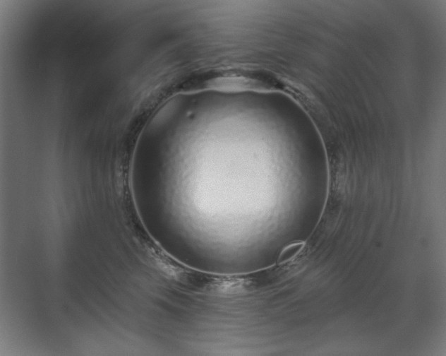 X0000071340569200606261319