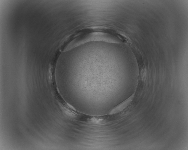 X0000071340570200606261319