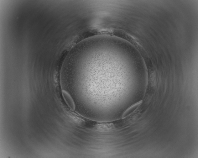 X0000071340571200606261319