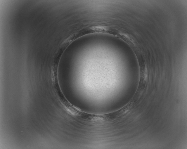 X0000071340572200606261319