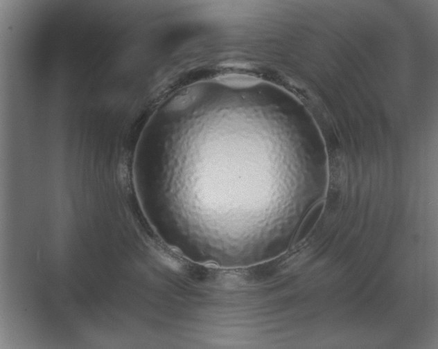 X0000071340573200606261319