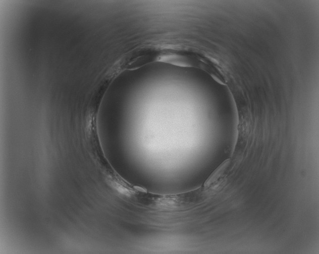 X0000071340574200606261319