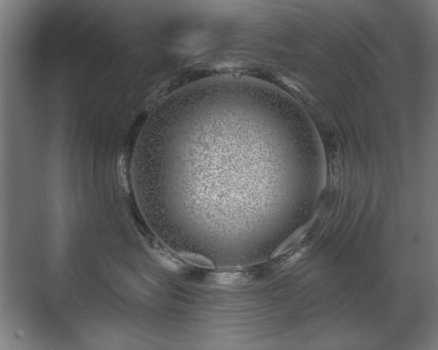 X0000071340575200606261319