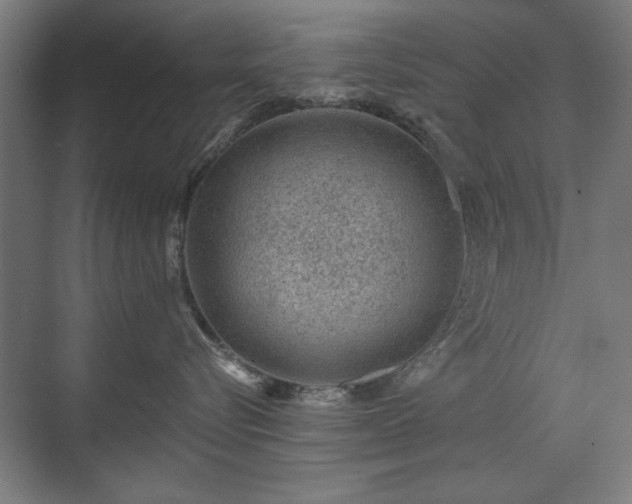 X0000071340576200606261319