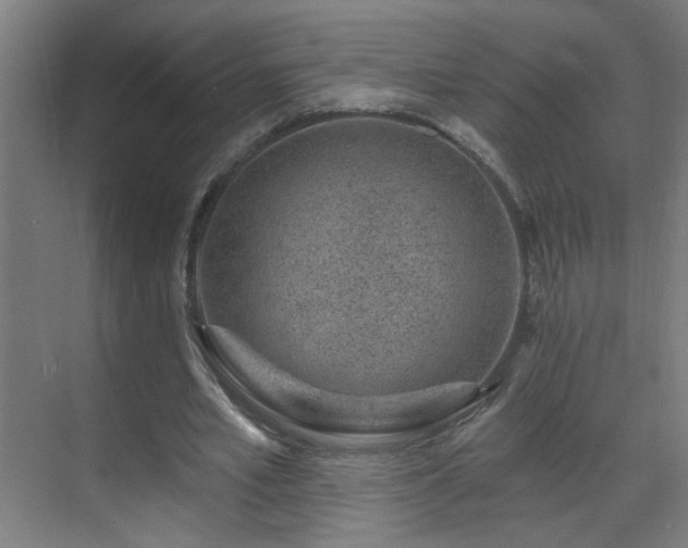 X0000071340581200606261318