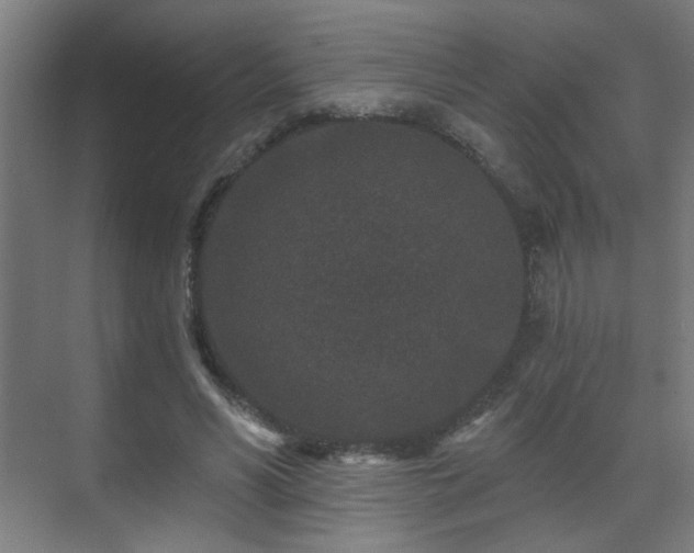 X0000071340590200606261318