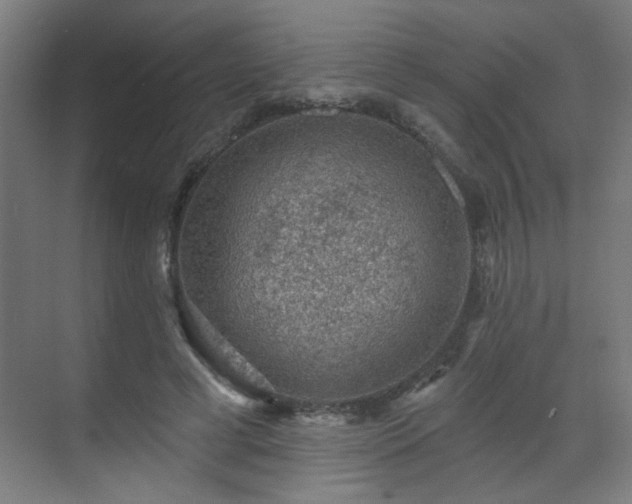 X0000071340593200606261318