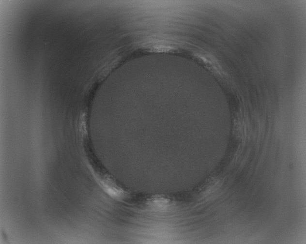 X0000071340598200606261317