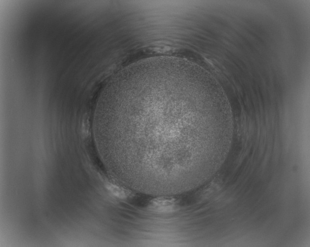 X0000071340606200606261317