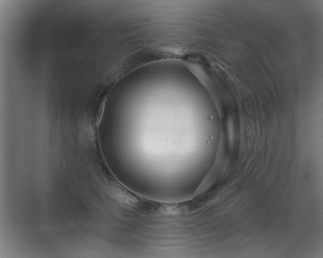 X0000071340613200606261317