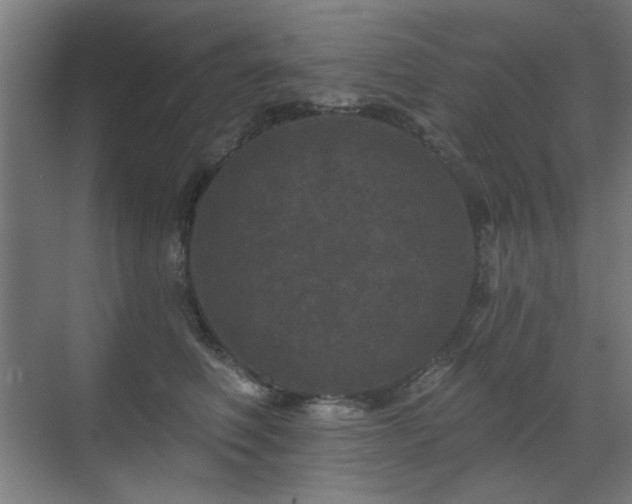 X0000071340614200606261317