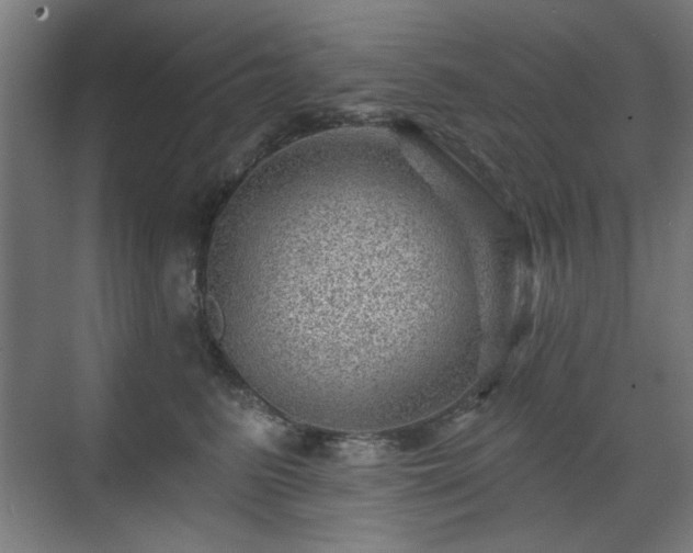 X0000071340615200606261317