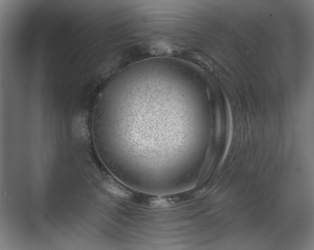 X0000071340616200606261317