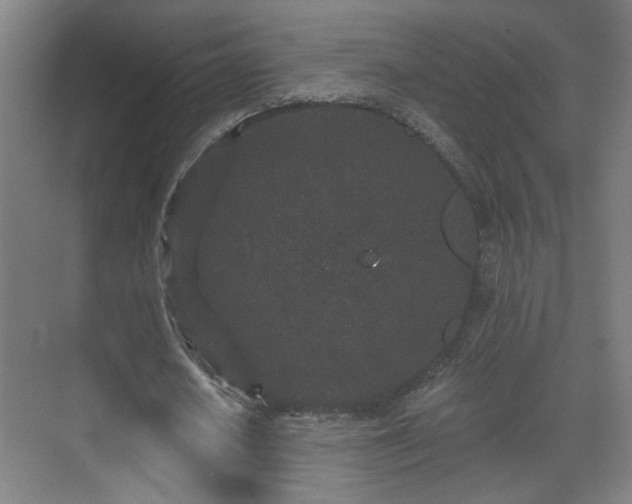 X0000071340626200606261316