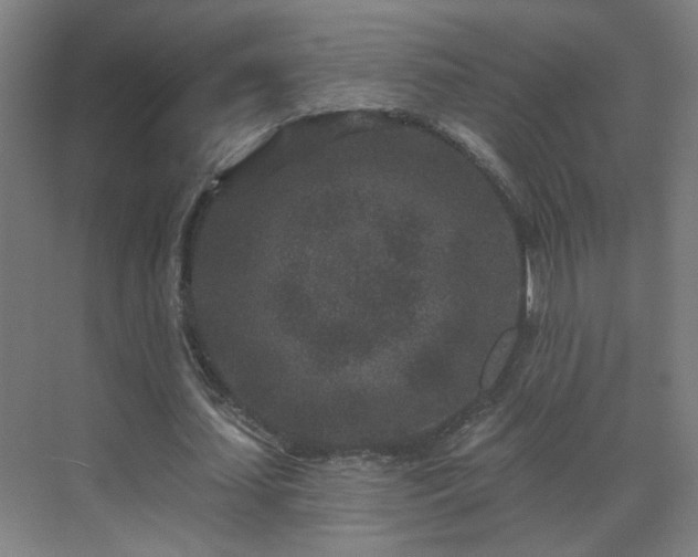 X0000071340627200606261316