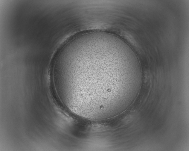 X0000071340632200606261316