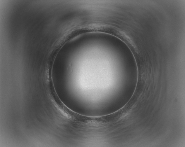 X0000071340633200606261316