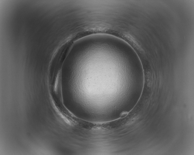 X0000071340634200606261316