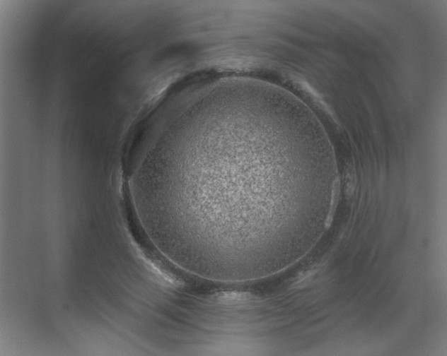 X0000071340637200606261316