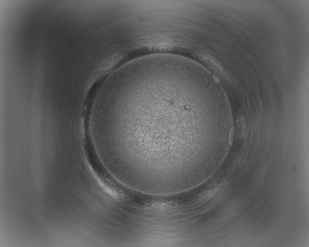 X0000071340638200606261316