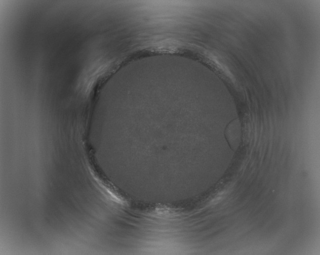 X0000071340641200606261317