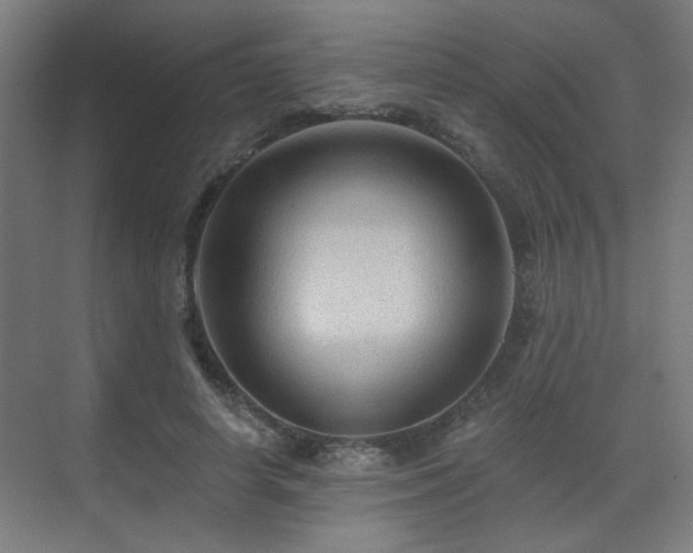 X0000071340642200606261317