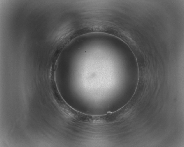 X0000071340645200606261317