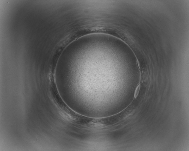 X0000071340648200606261317