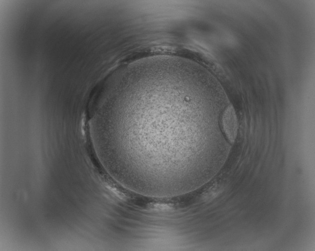 X0000071340649200606261317