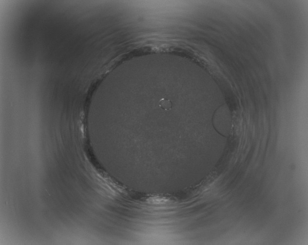 X0000071340650200606261317