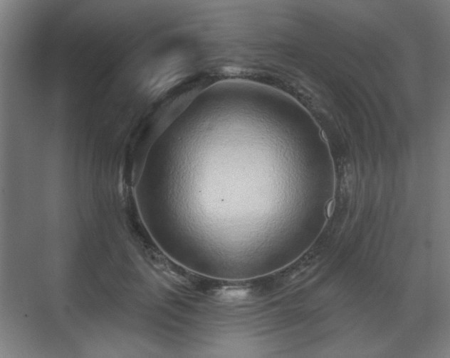 X0000071340651200606261317