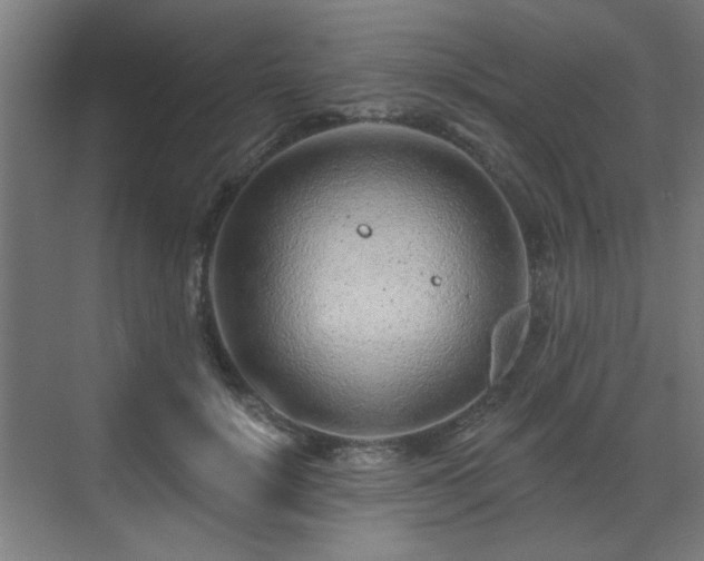 X0000071340652200606261317