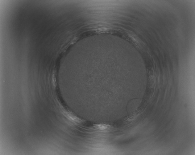 X0000071340654200606261317