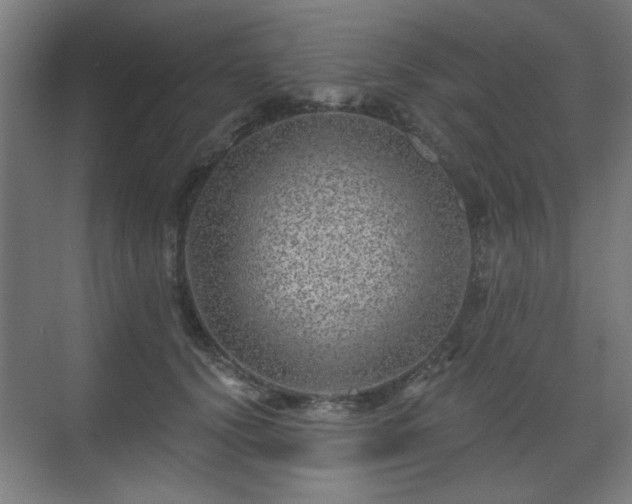 X0000071340656200606261317