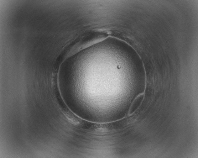 X0000071340658200606261317