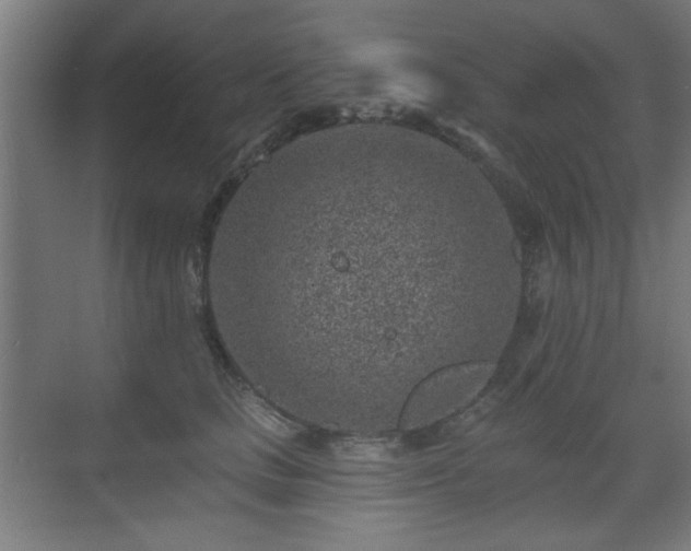 X0000071340661200606261317