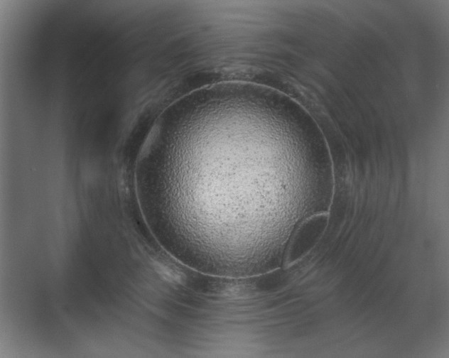 X0000071340663200606261317