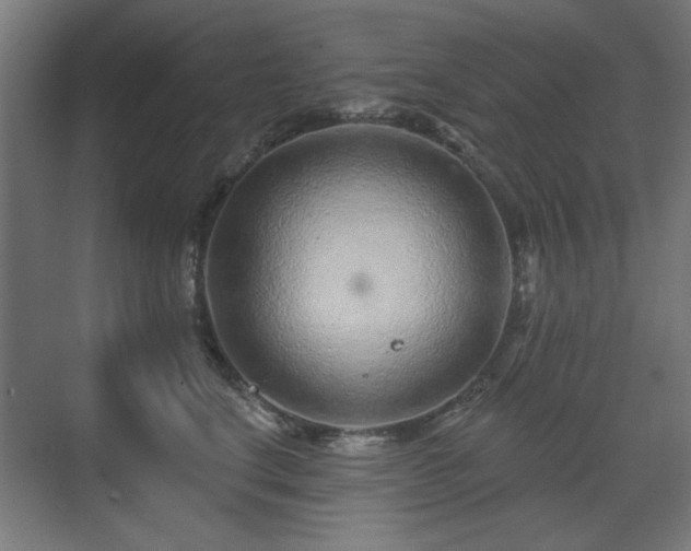 X0000071340664200606261317