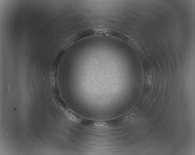 X0000071340666200606261317