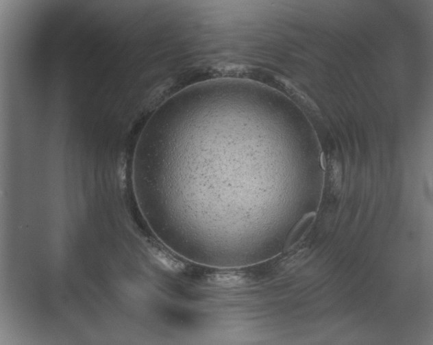 X0000071340668200606261317