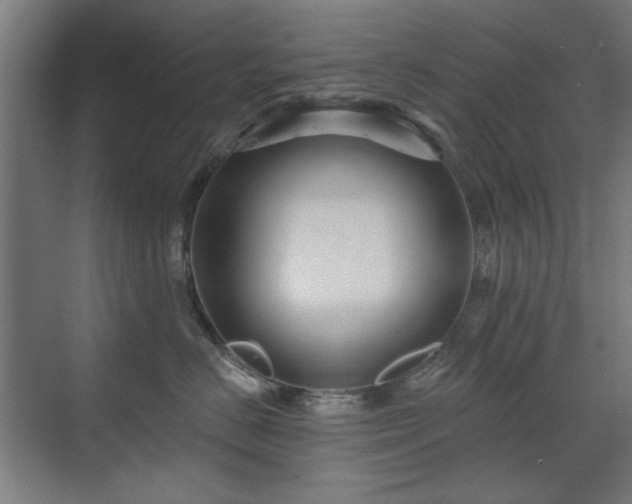 X0000071340670200606261317